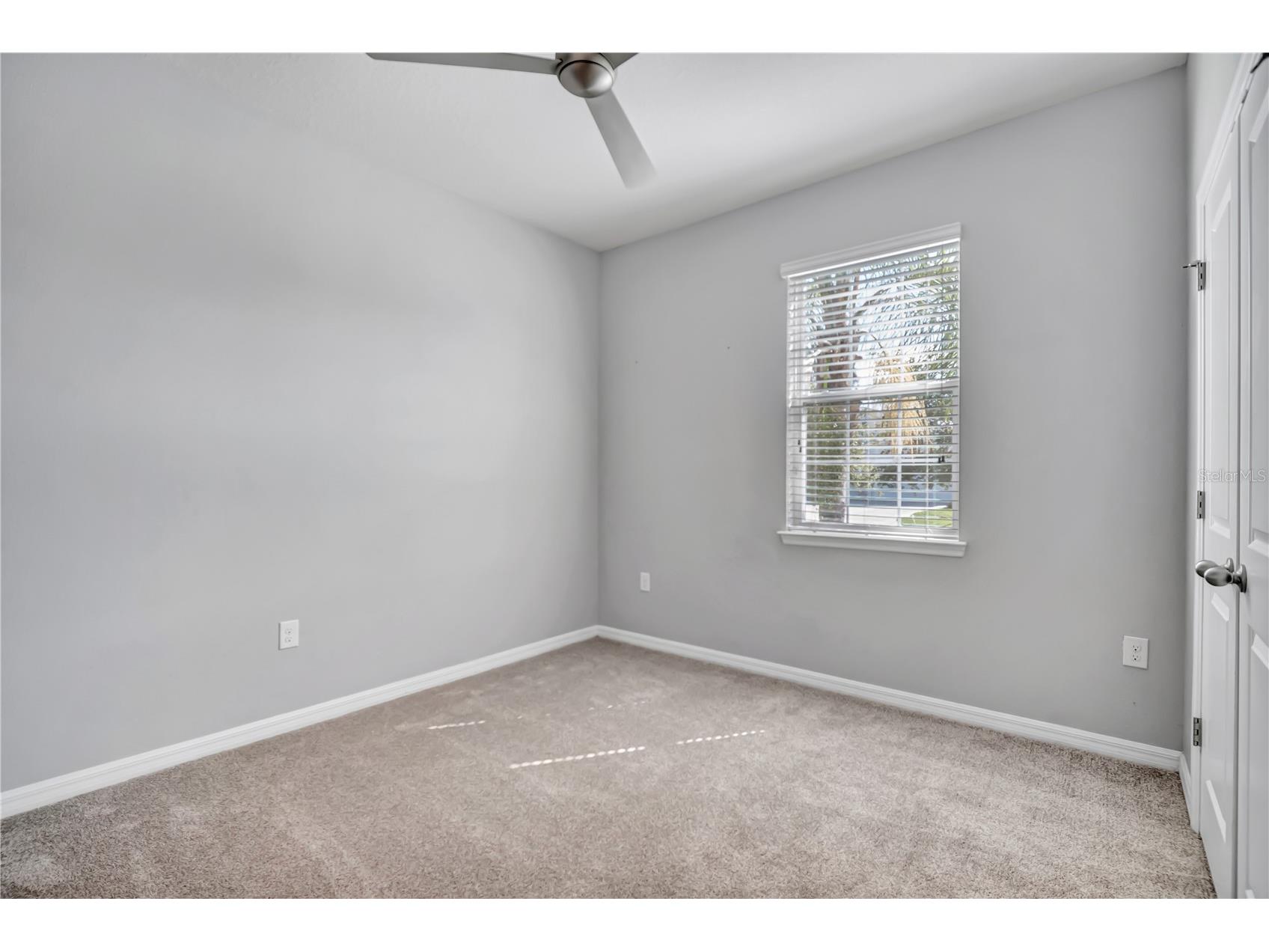 32430 Bannack Lane Wesley Chapel FL 33543 TB8494101 image44
