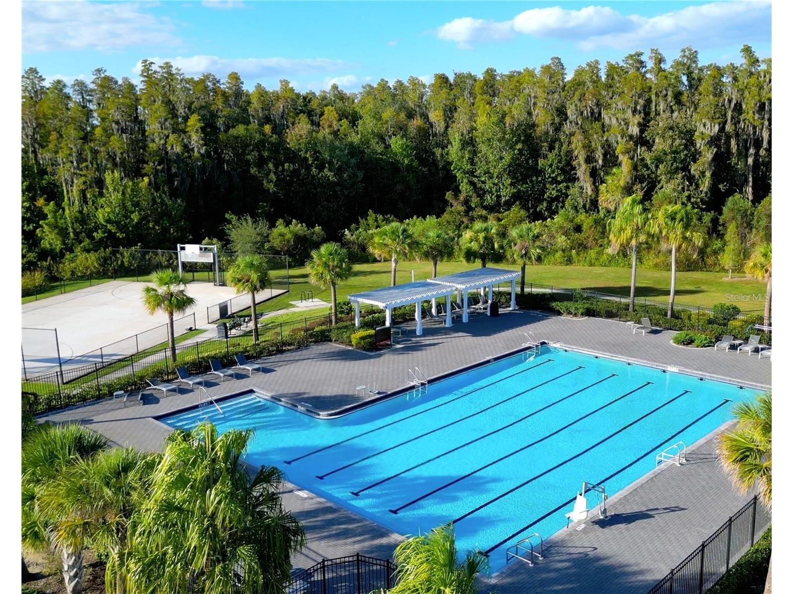 32430 Bannack Lane Wesley Chapel FL 33543 TB8494101 image62