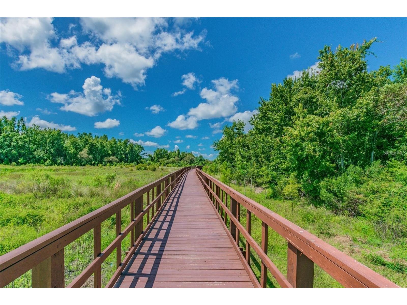 32430 Bannack Lane Wesley Chapel FL 33543 TB8494101 image63