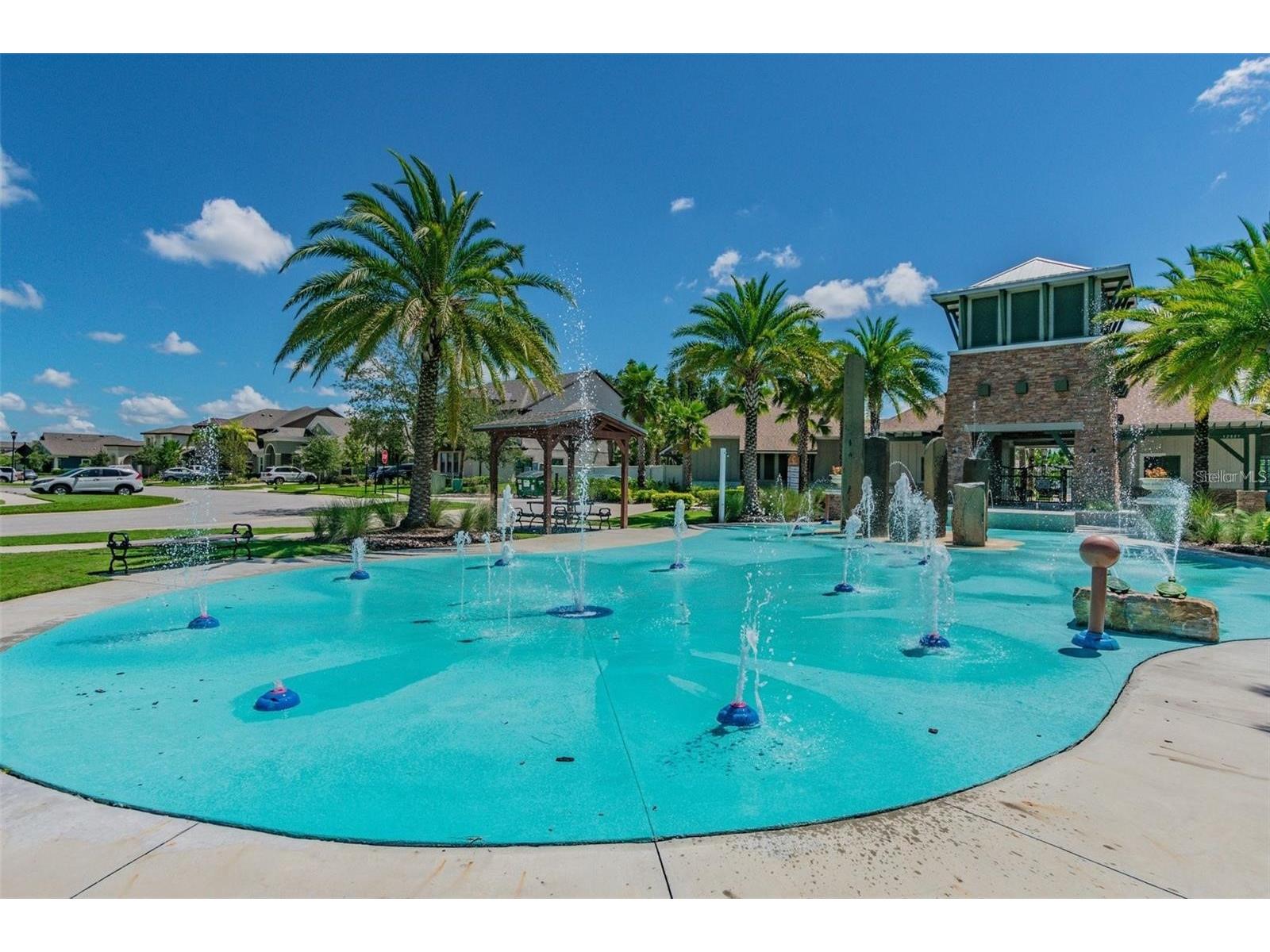 32430 Bannack Lane Wesley Chapel FL 33543 TB8494101 image65
