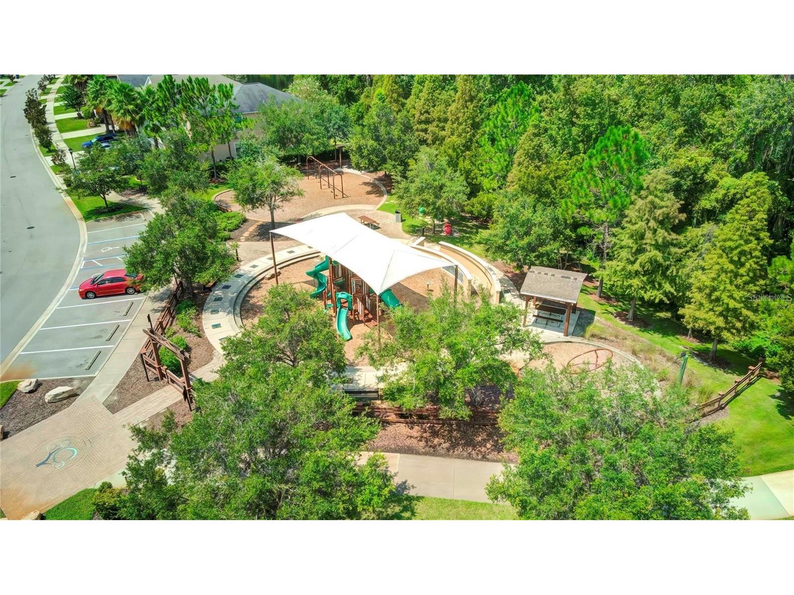 32430 Bannack Lane Wesley Chapel FL 33543 TB8494101 image66