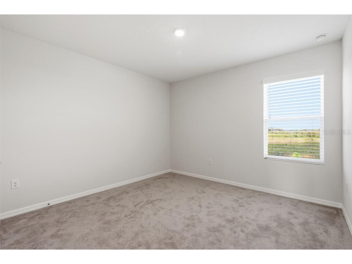 32430 Osprey Peak Way San Antonio FL 33576 TB8446577 image16