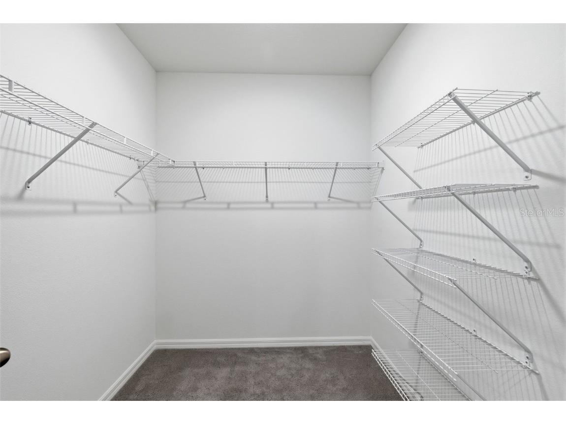 32430 Osprey Peak Way San Antonio FL 33576 TB8446577 image21