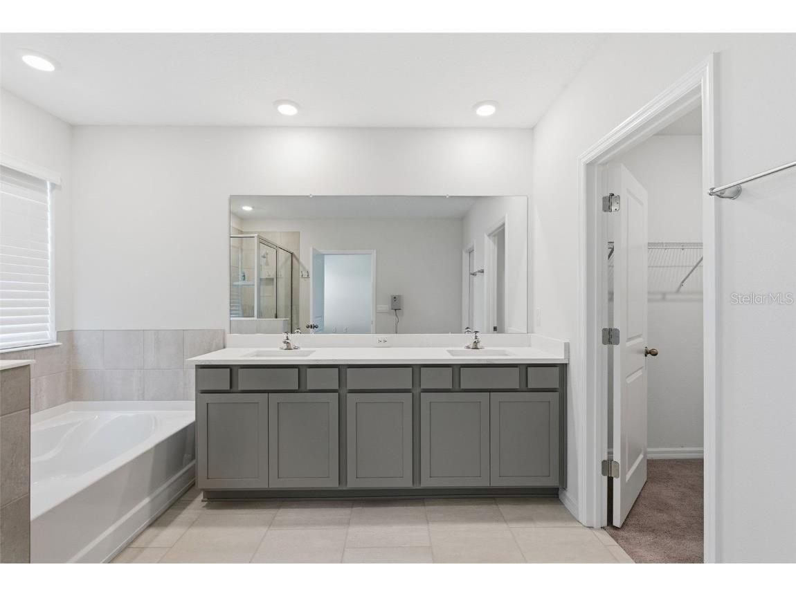 32430 Osprey Peak Way San Antonio FL 33576 TB8446577 image24