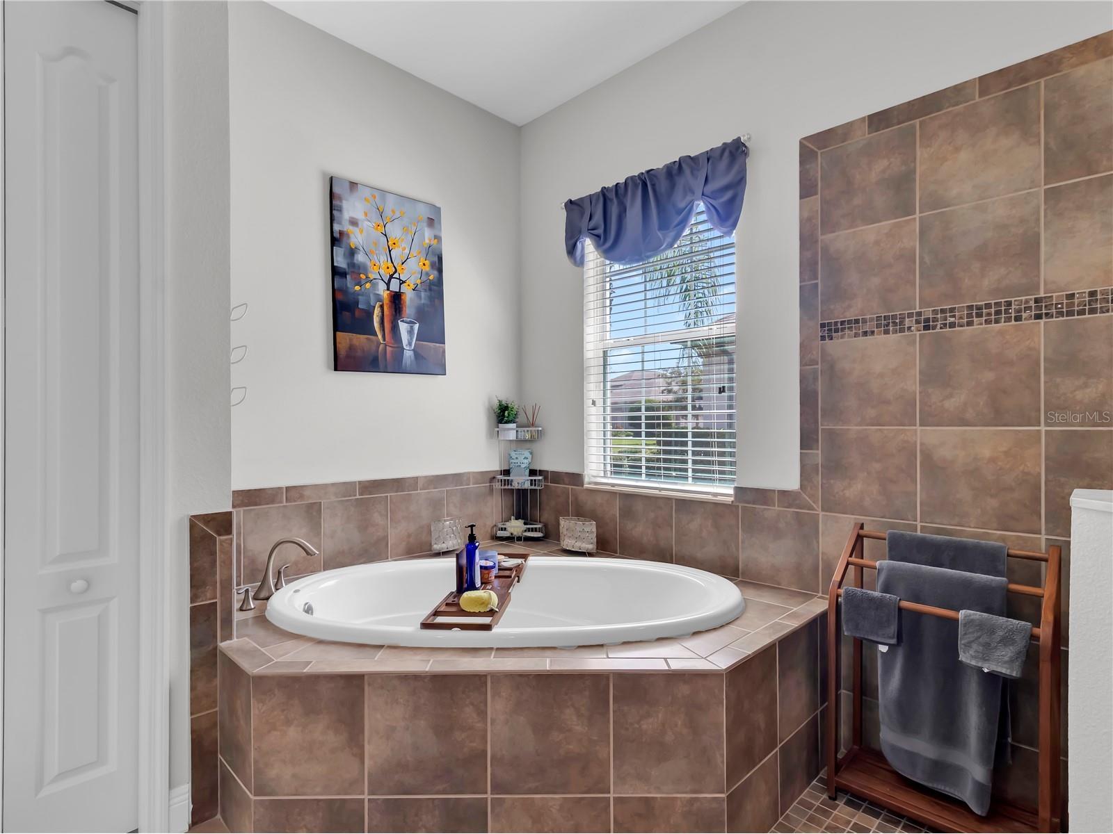 32430 Silvercreek Way Wesley Chapel FL 33545 TB8526992 image27