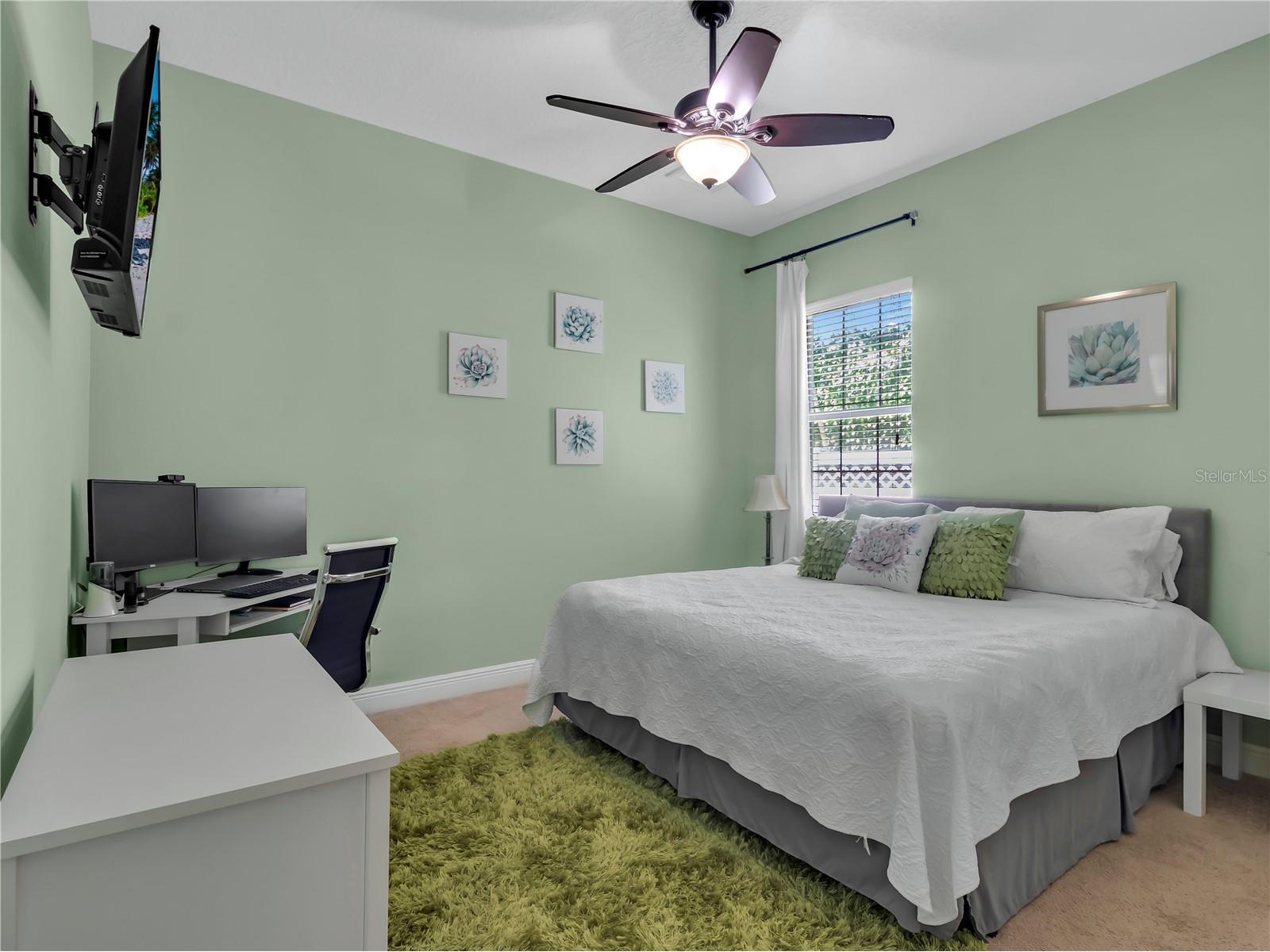 32430 Silvercreek Way Wesley Chapel FL 33545 TB8526992 image35