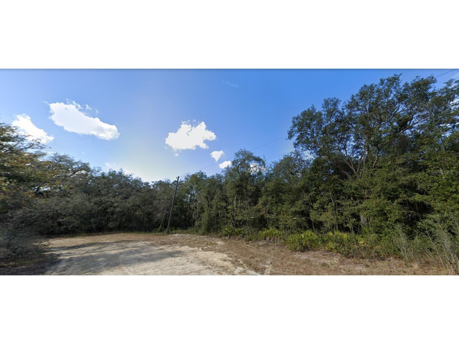 32431 Headstone Street Webster FL 33597 TB8347075 image1