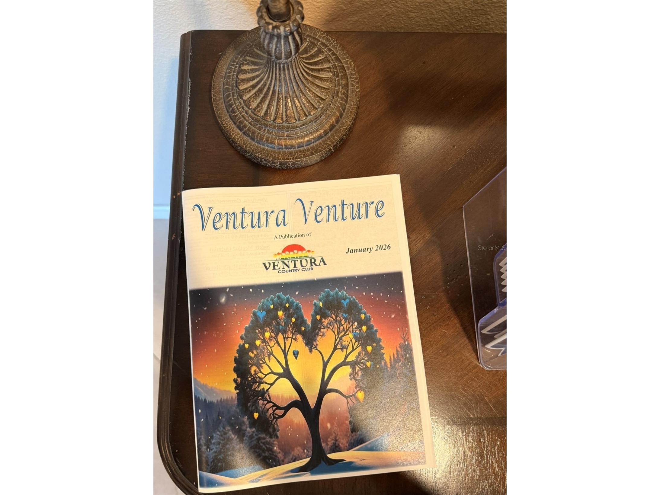 3244 Candle Ridge Drive #202 Orlando FL 32822 R4910549 image18