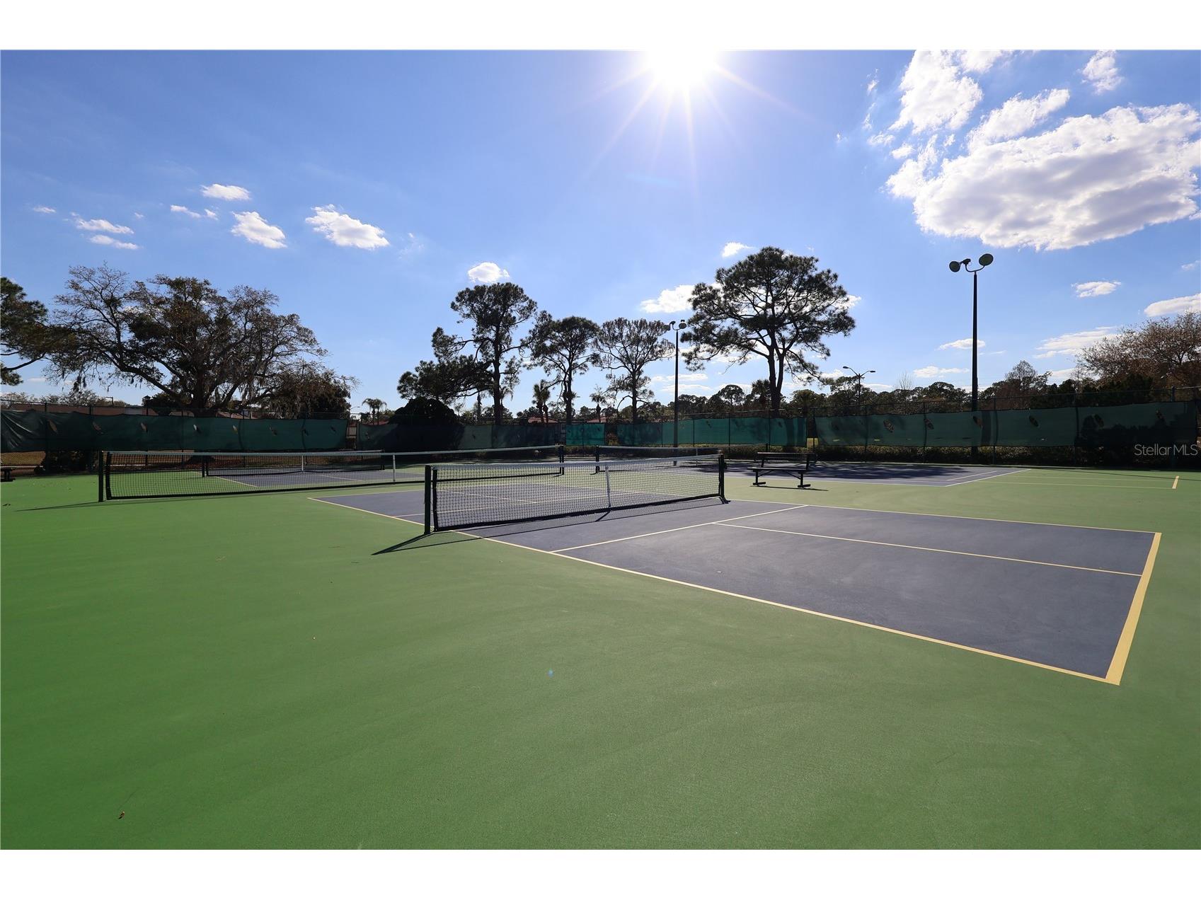 3244 Candle Ridge Drive #202 Orlando FL 32822 R4910549 image56