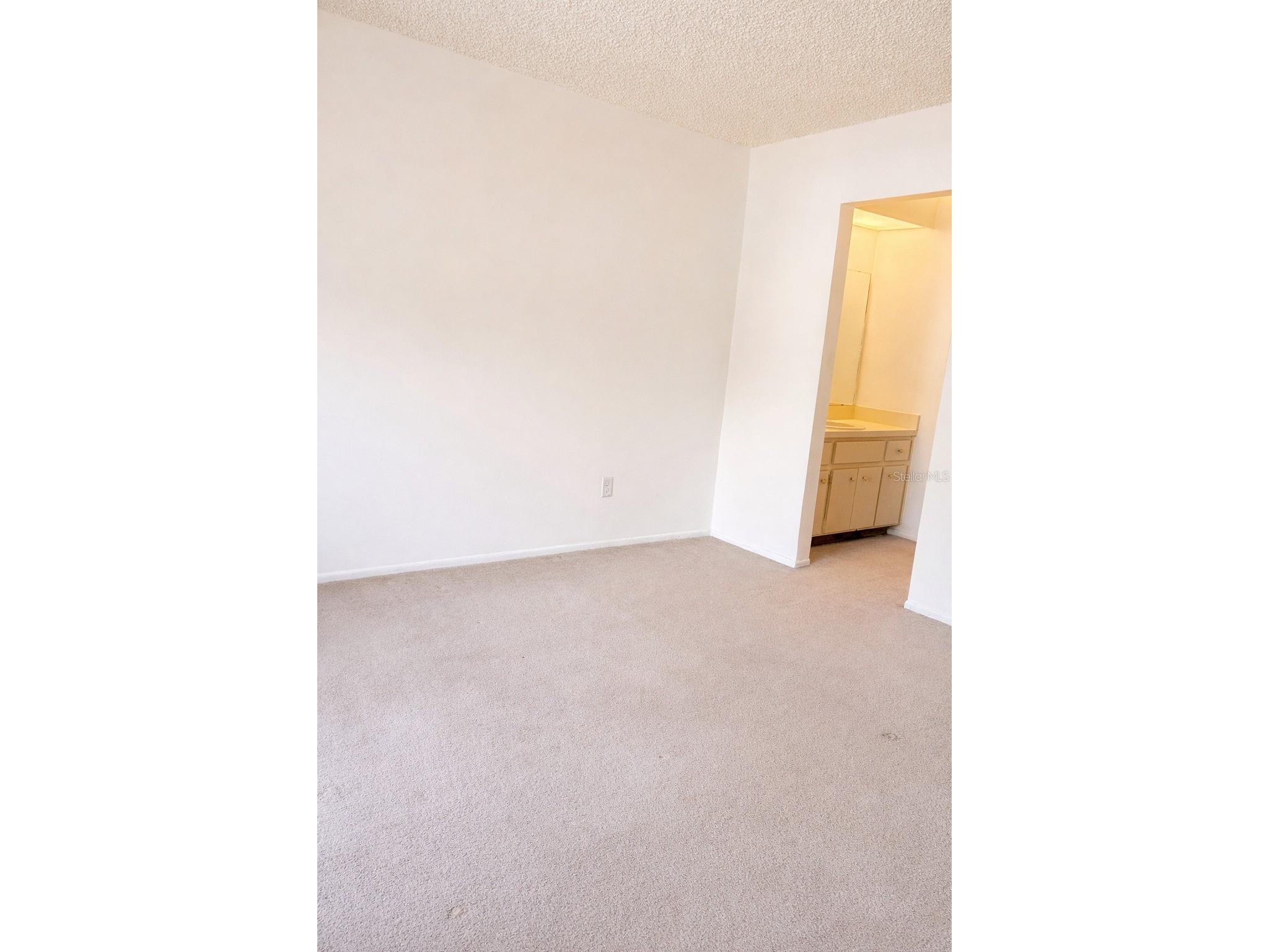 3244 Candle Ridge Drive #202 Orlando FL 32822 R4910549 image6