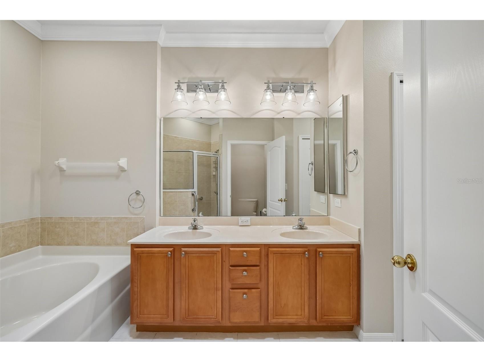 3244 Chapel Creek Circle Wesley Chapel FL 33544 TB8508159 image22