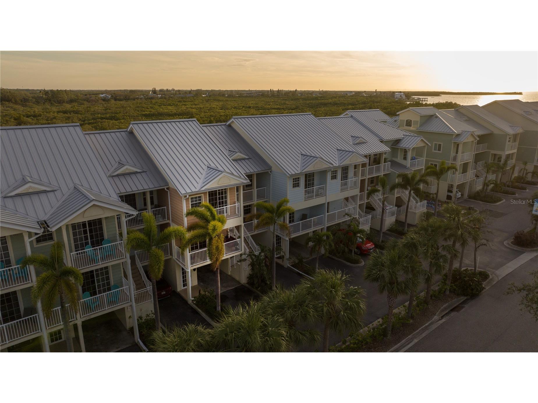 3244 Mangrove Point Drive Ruskin FL 33570 TB8466446 image1