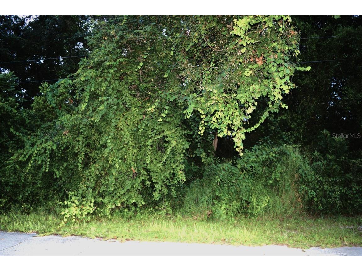 3244 Quail Drive Deltona FL 32738 V4937735 image1