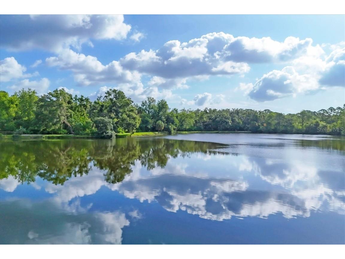 3244 Ringwood Meadow #77 Sarasota FL 34235 A4663917 image58