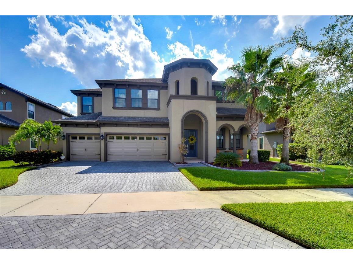 32440 Goddard Drive Wesley Chapel FL 33543 T3550995 image1