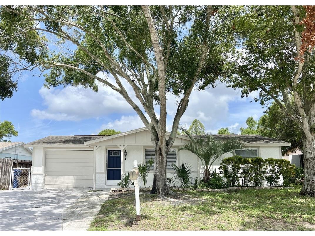 3245 Bigelow Dr Drive Holiday FL 34691 TB8301055 image1