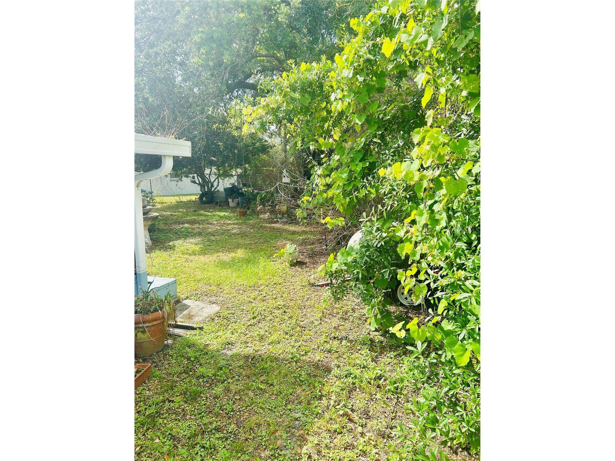 3245 Coleus Court Winter Park FL 32792 O6390829 image17