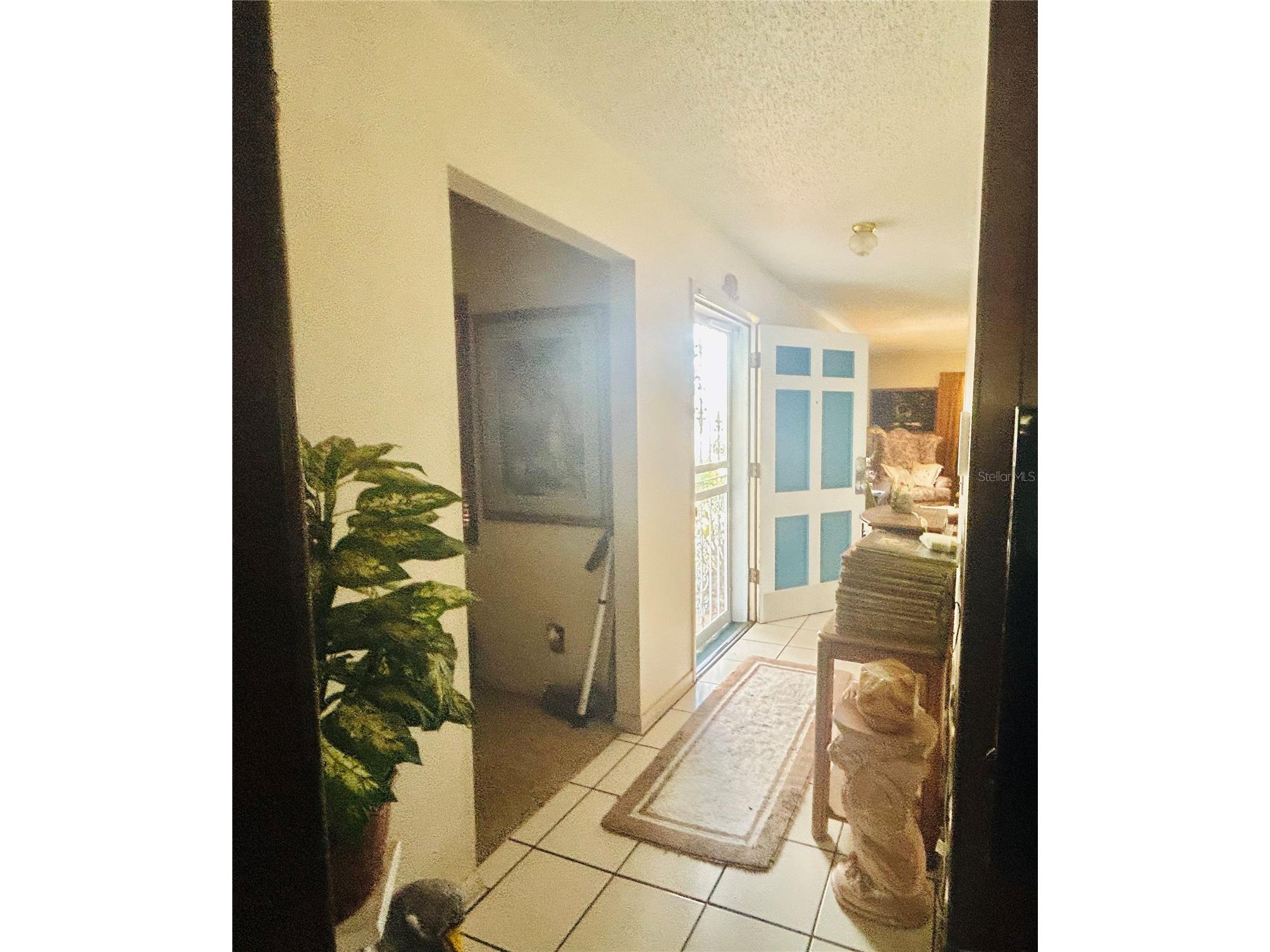 3245 Coleus Court Winter Park FL 32792 O6390829 image2