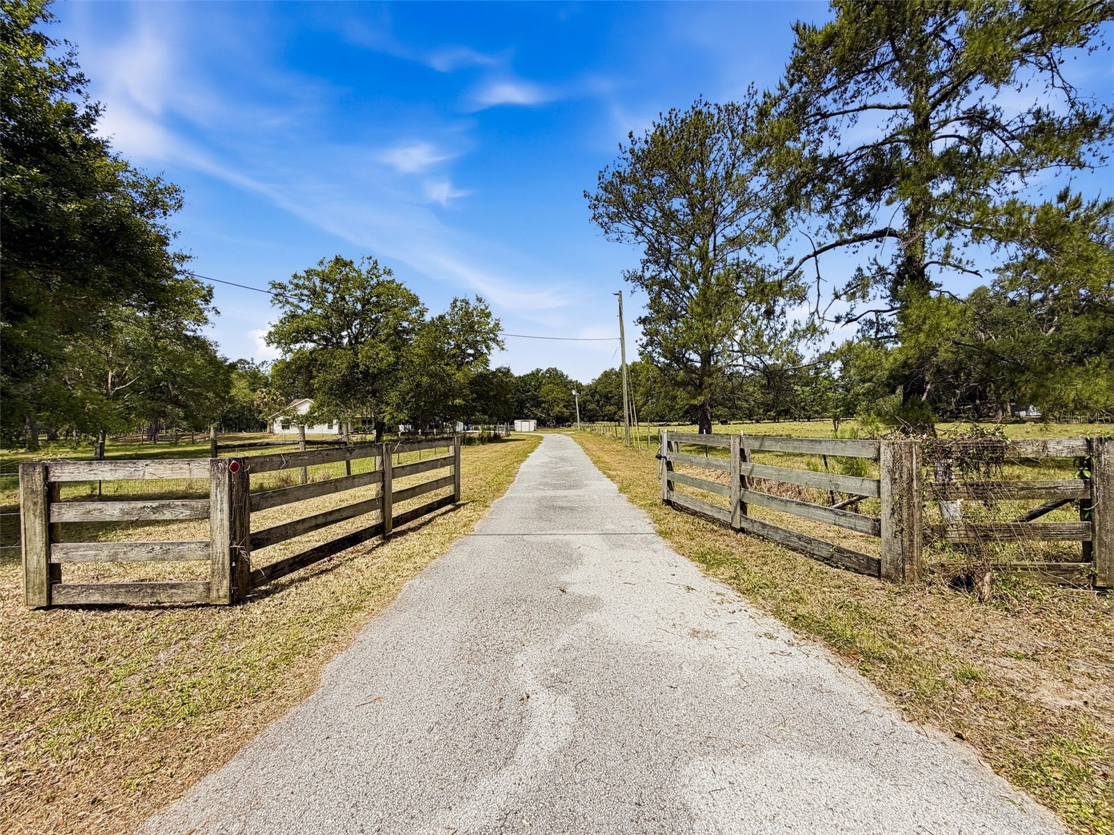 3245 Rackley Road Brooksville FL 34604 W7885345 image45