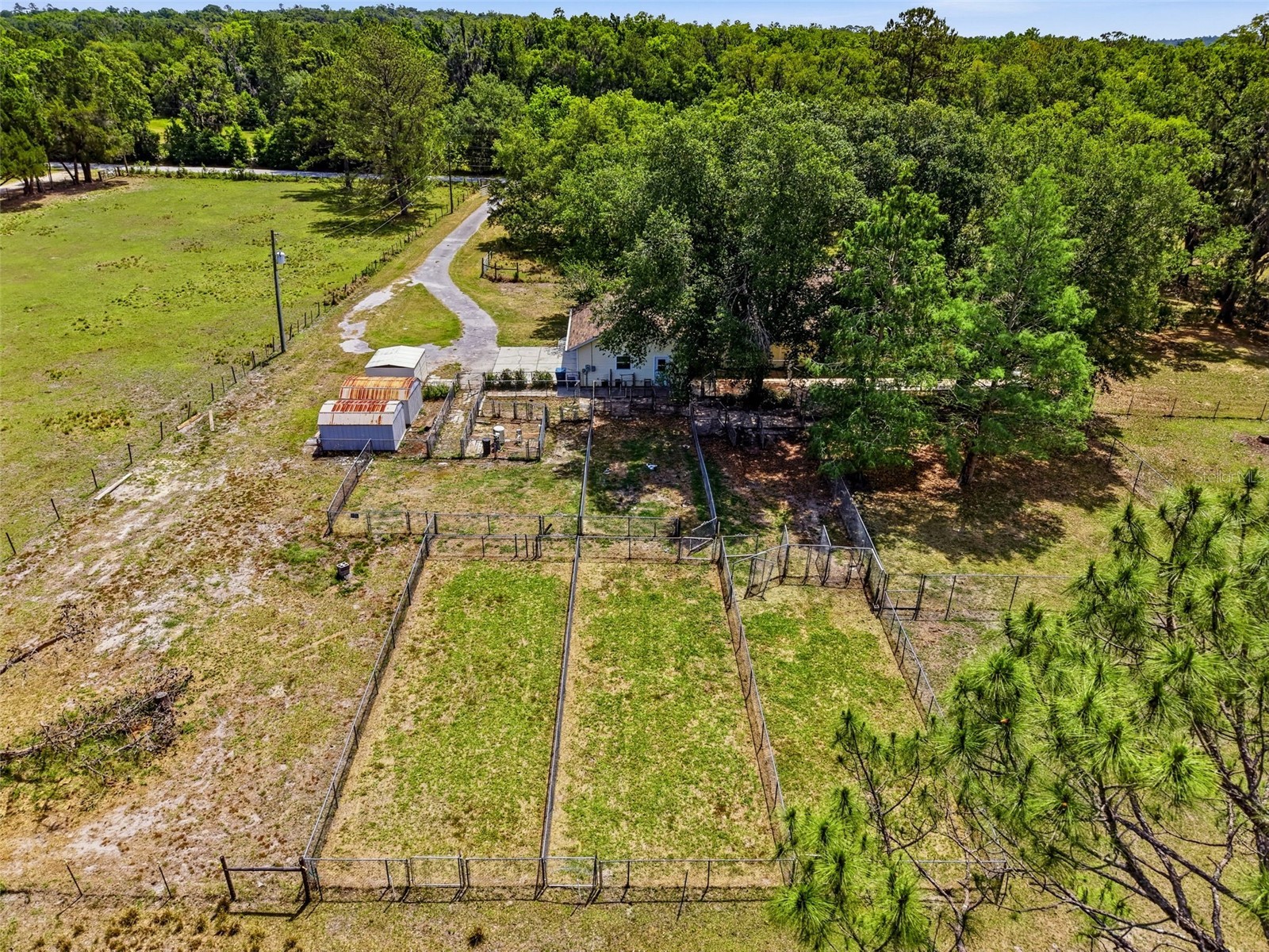 3245 Rackley Road Brooksville FL 34604 W7885345 image57