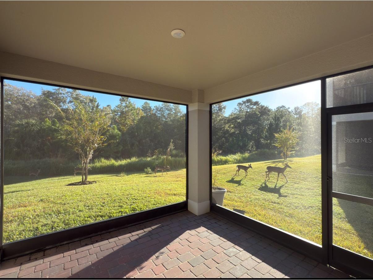 3245 Upland Point Oviedo FL 32765 O6361154 image37