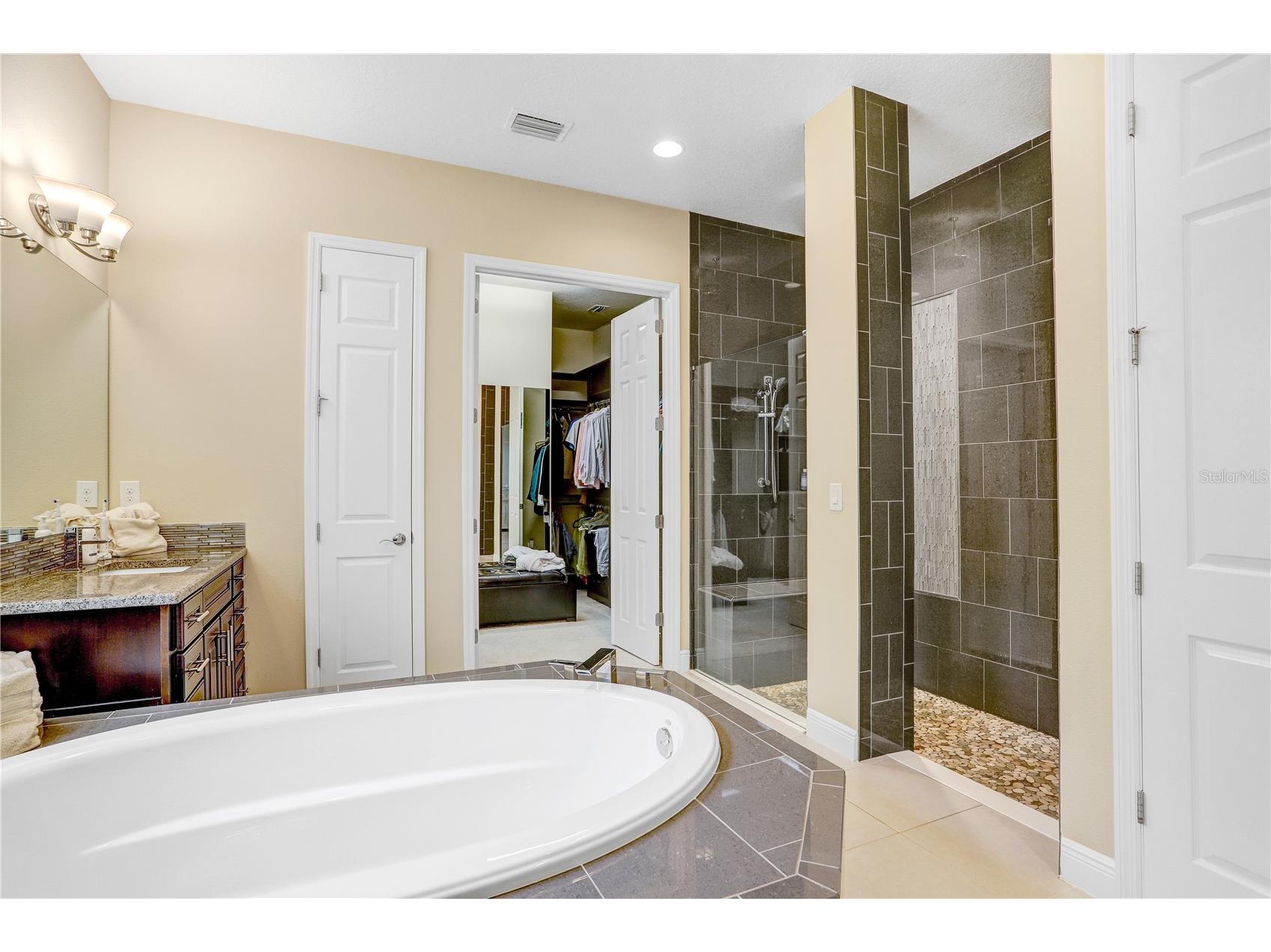 32450 Talimena Loop Wesley Chapel FL 33543 TB8463204 image24