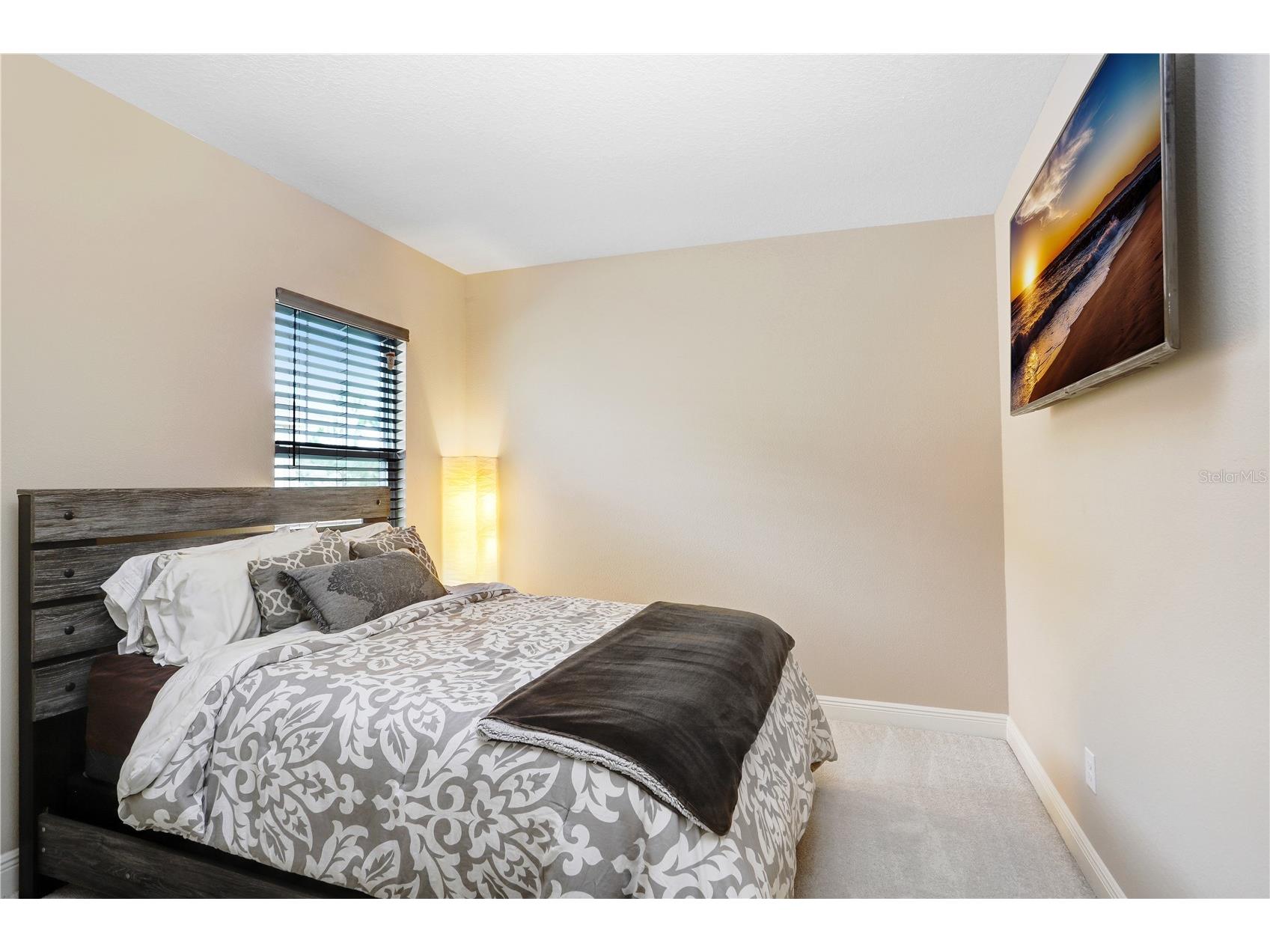 32450 Talimena Loop Wesley Chapel FL 33543 TB8463204 image33