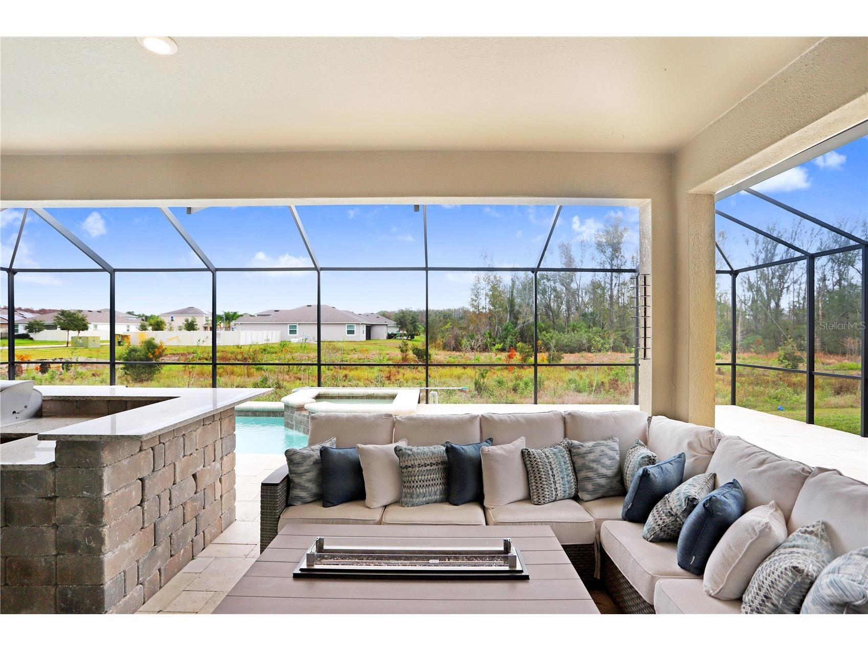 32450 Talimena Loop Wesley Chapel FL 33543 TB8463204 image38