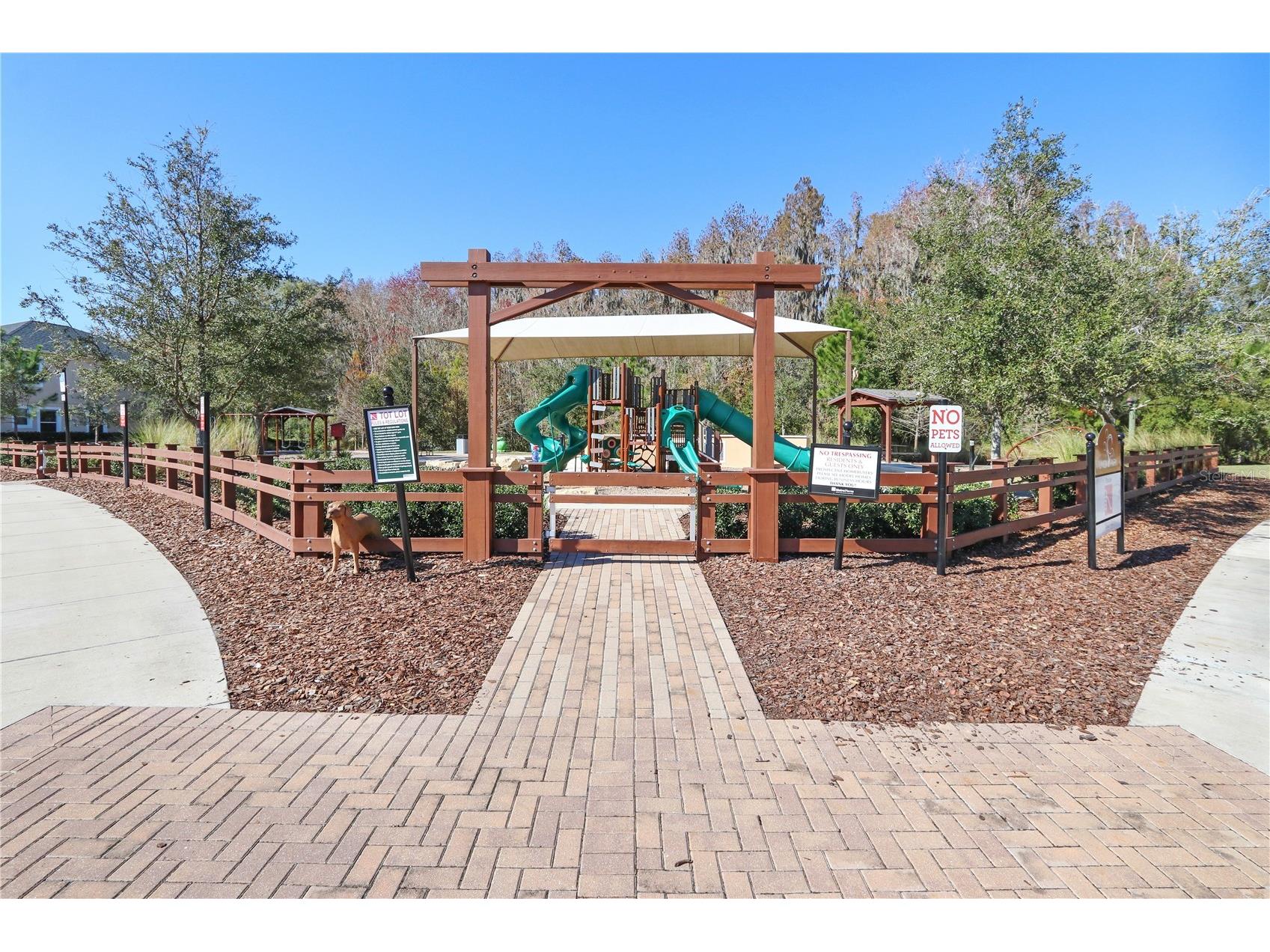 32450 Talimena Loop Wesley Chapel FL 33543 TB8463204 image50