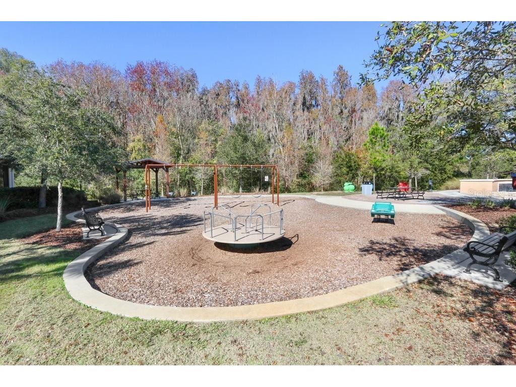 32450 Talimena Loop Wesley Chapel FL 33543 TB8463204 image52