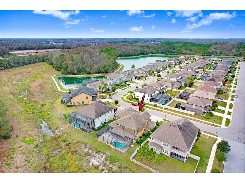 32450 Talimena Loop Wesley Chapel FL 33543 TB8463204 image63