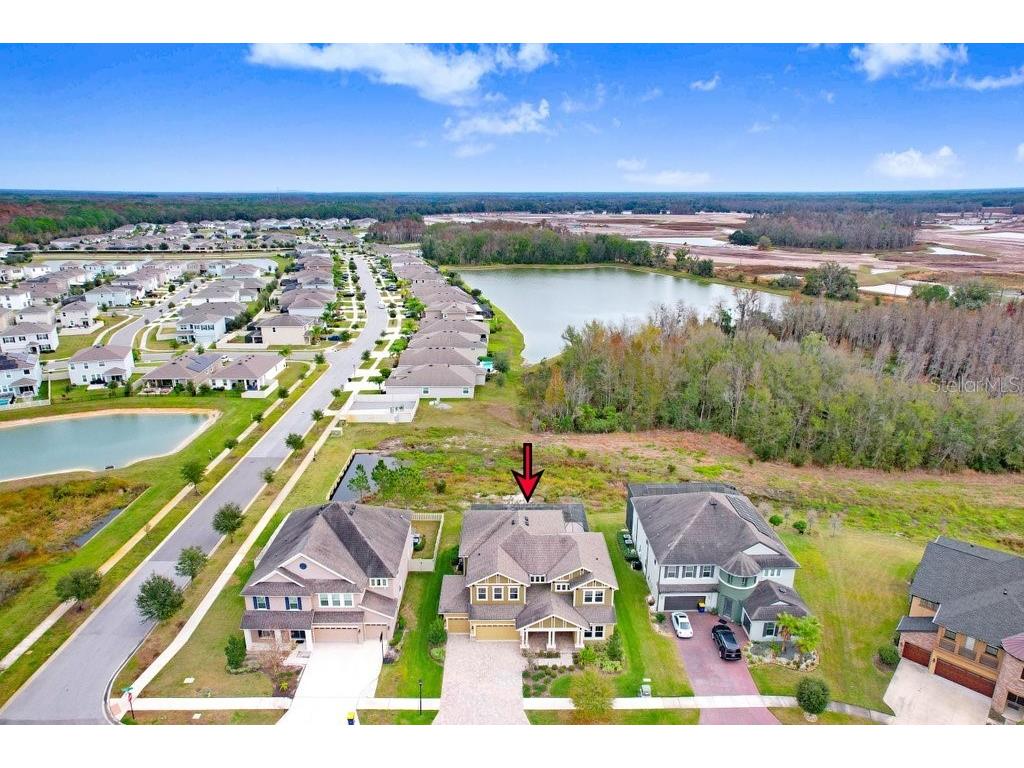 32450 Talimena Loop Wesley Chapel FL 33543 TB8463204 image64