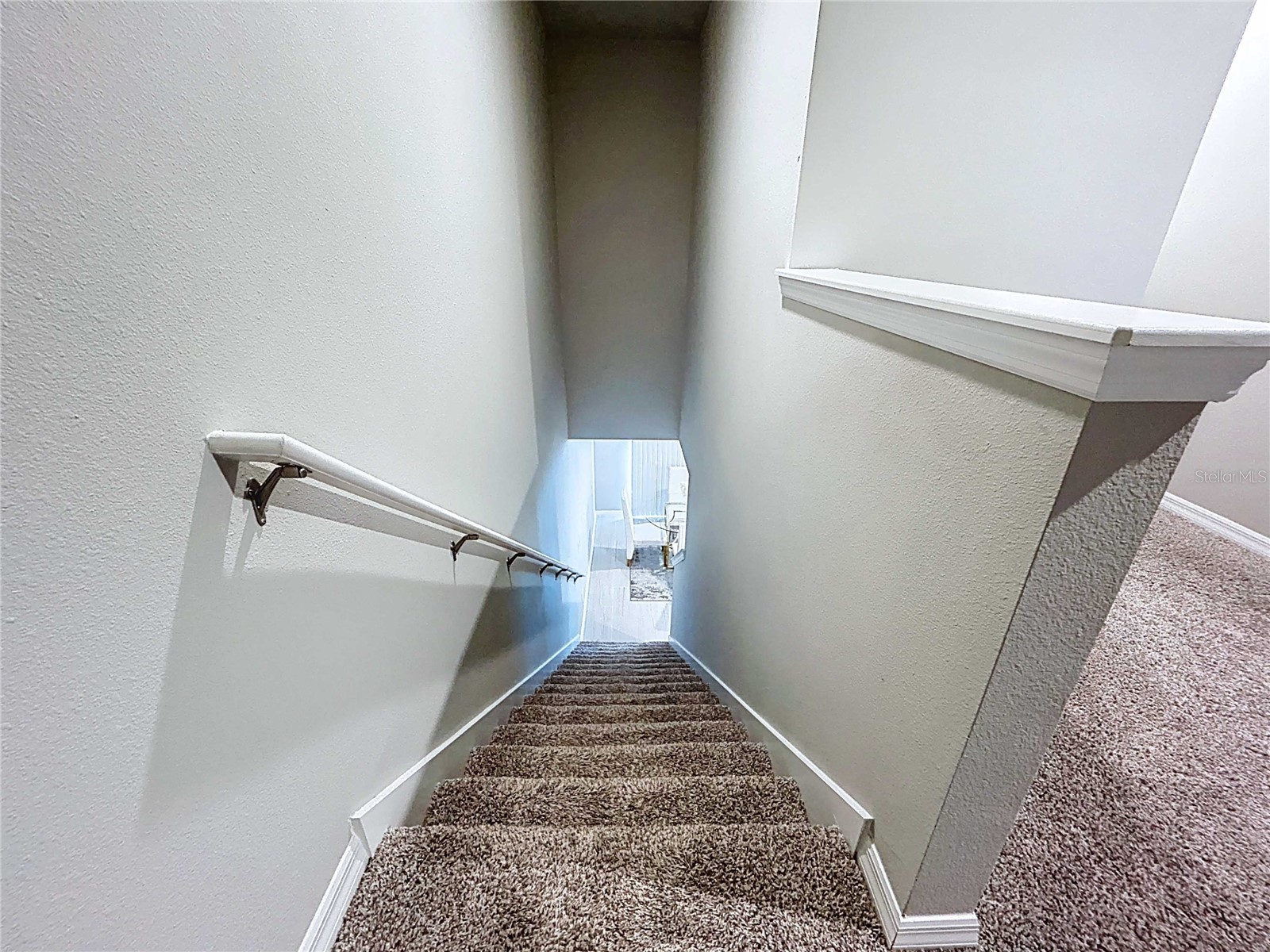 32451 Limitless Place Wesley Chapel FL 33545 TB8469137 image24