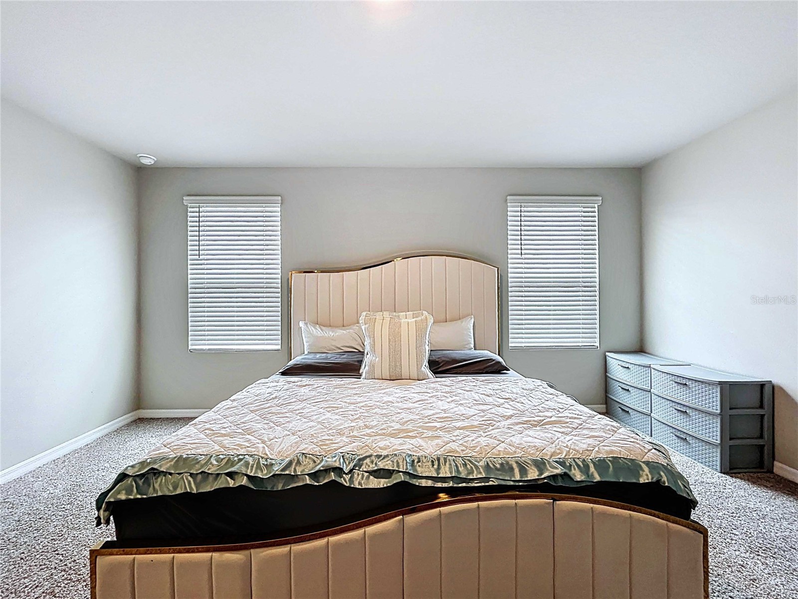 32451 Limitless Place Wesley Chapel FL 33545 TB8469137 image34