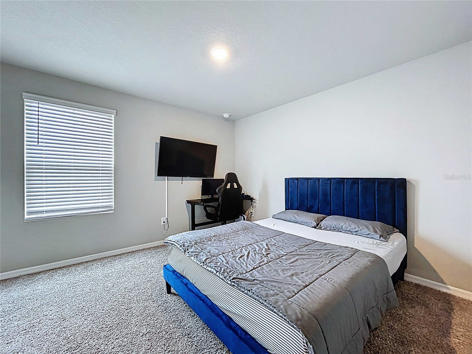 32451 Limitless Place Wesley Chapel FL 33545 TB8469137 image36