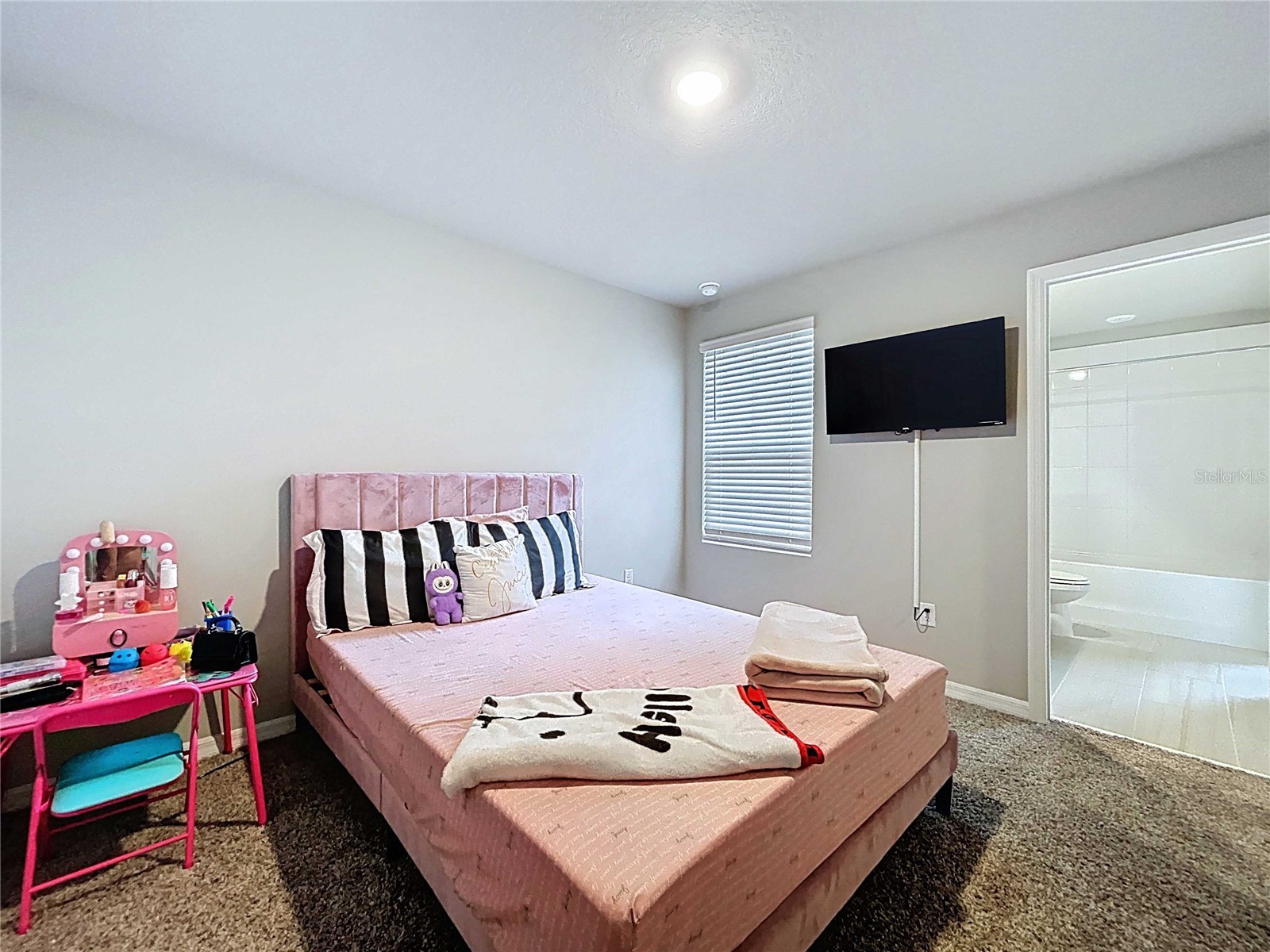 32451 Limitless Place Wesley Chapel FL 33545 TB8469137 image37