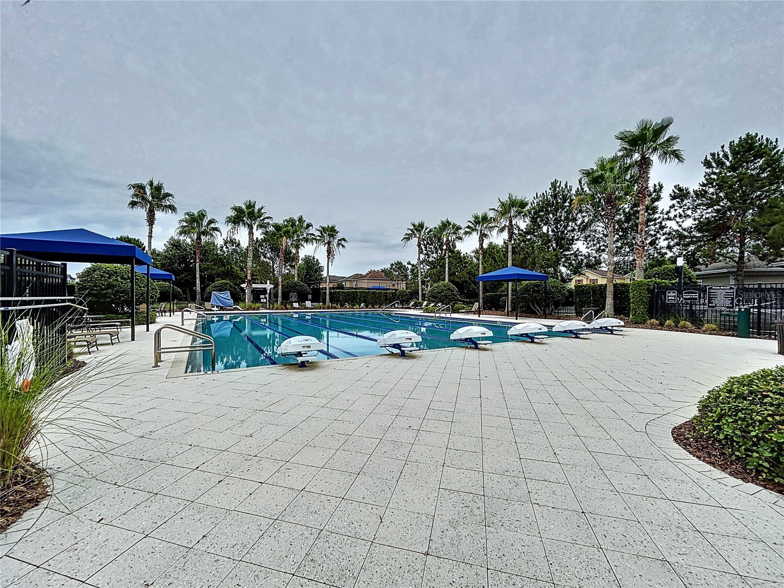 32451 Limitless Place Wesley Chapel FL 33545 TB8469137 image47
