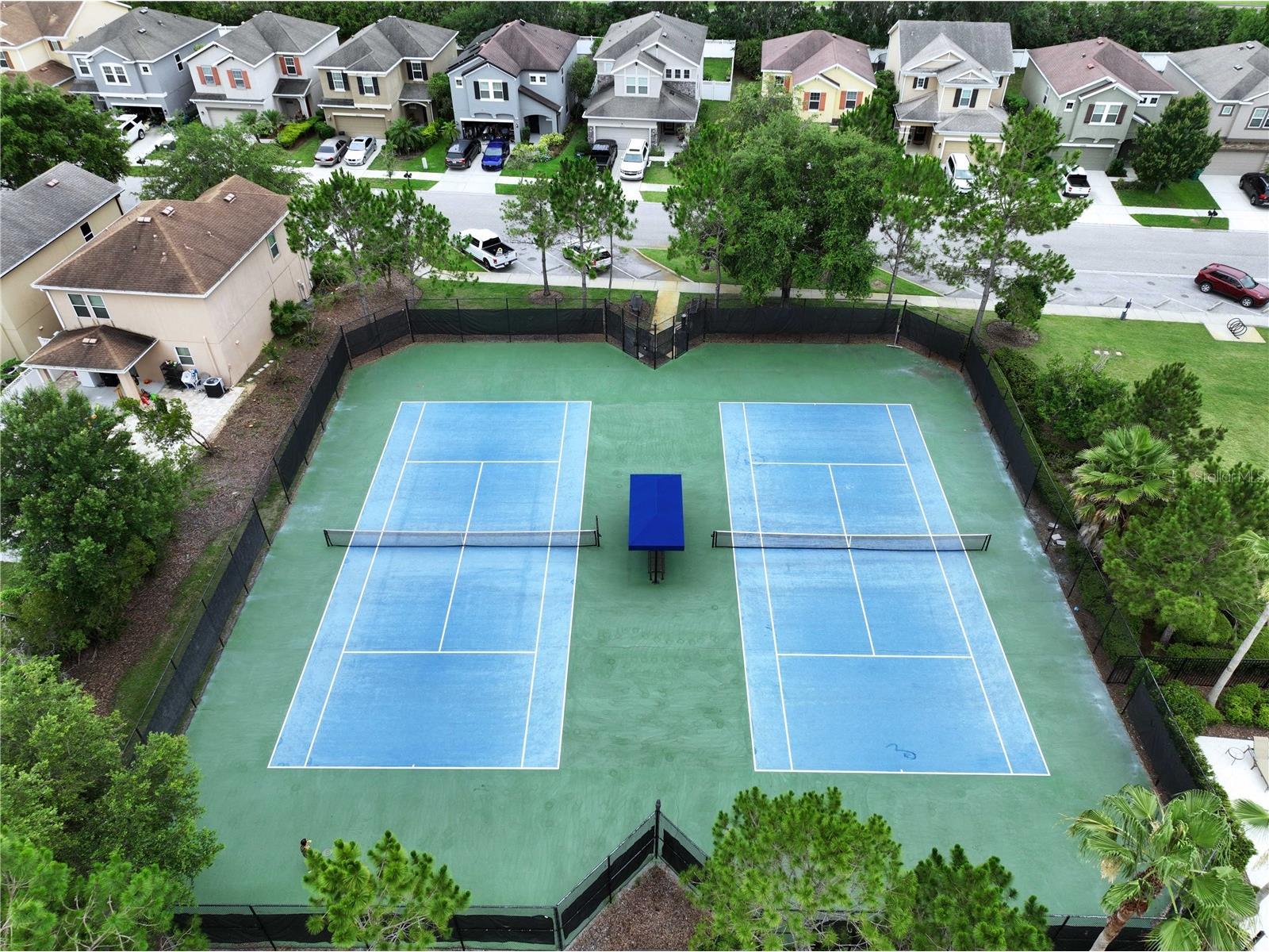 32451 Limitless Place Wesley Chapel FL 33545 TB8469137 image54