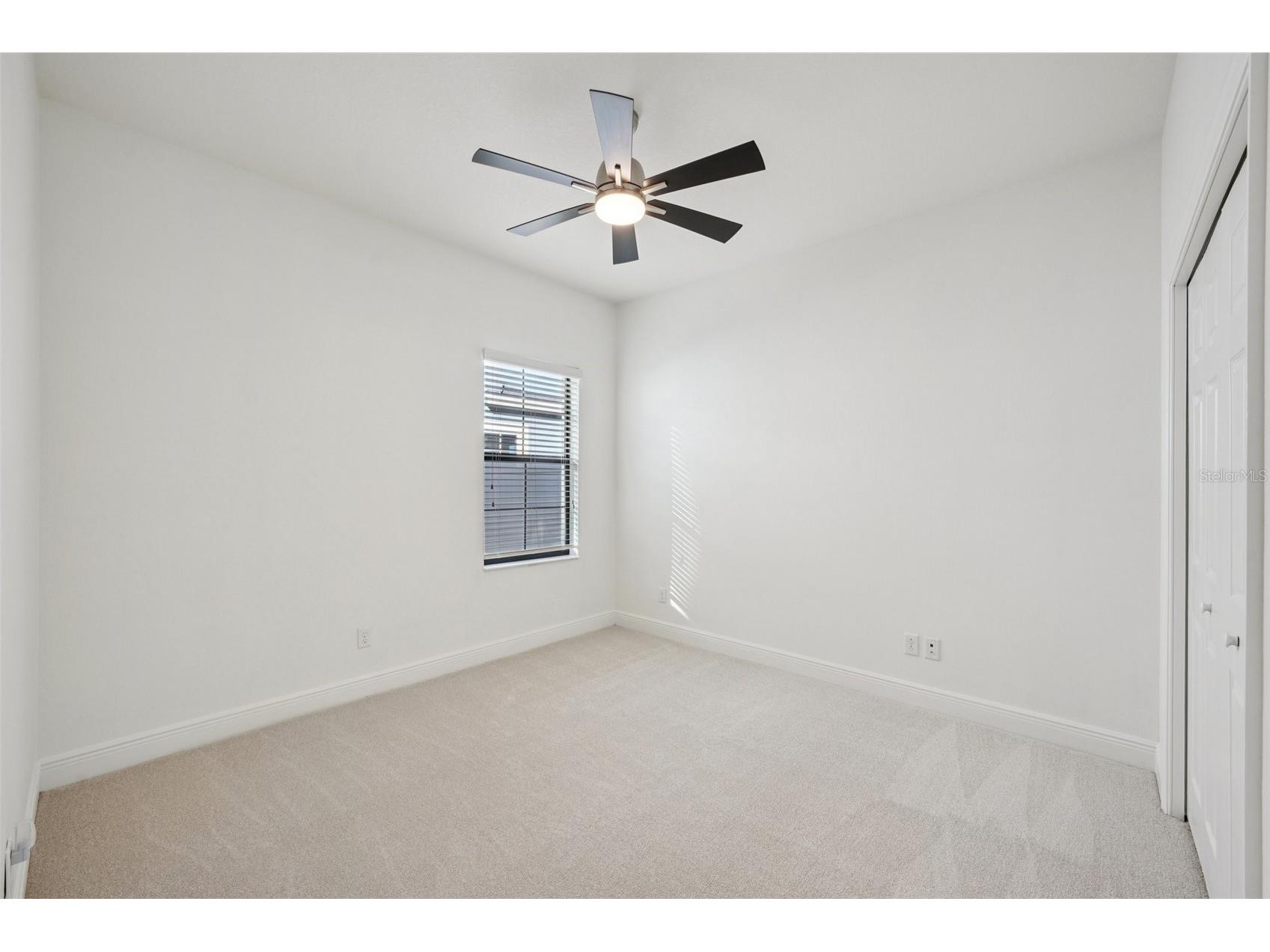 32451 Natural Bridge Road Wesley Chapel FL 33543 TB8467767 image23