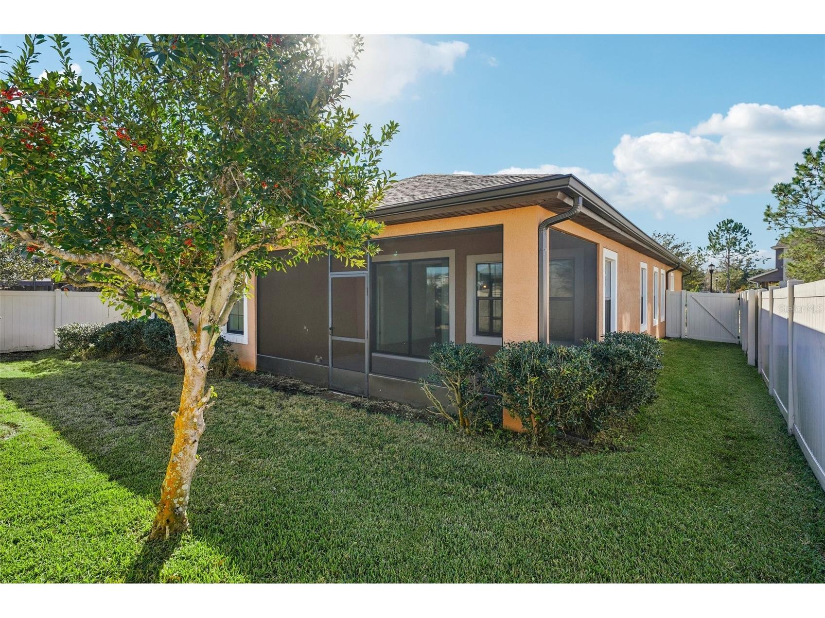 32451 Natural Bridge Road Wesley Chapel FL 33543 TB8467767 image31