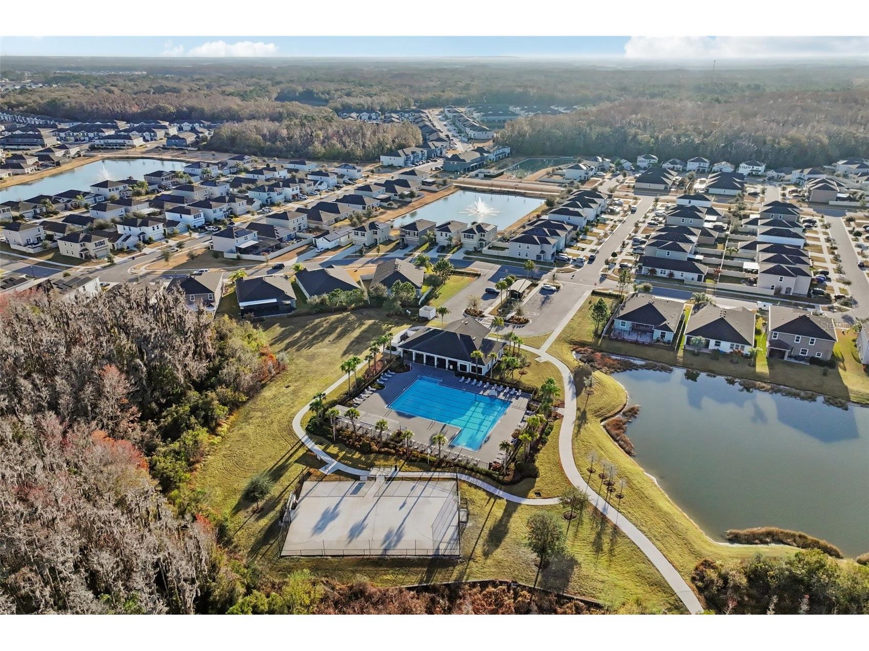 32451 Natural Bridge Road Wesley Chapel FL 33543 TB8467767 image37