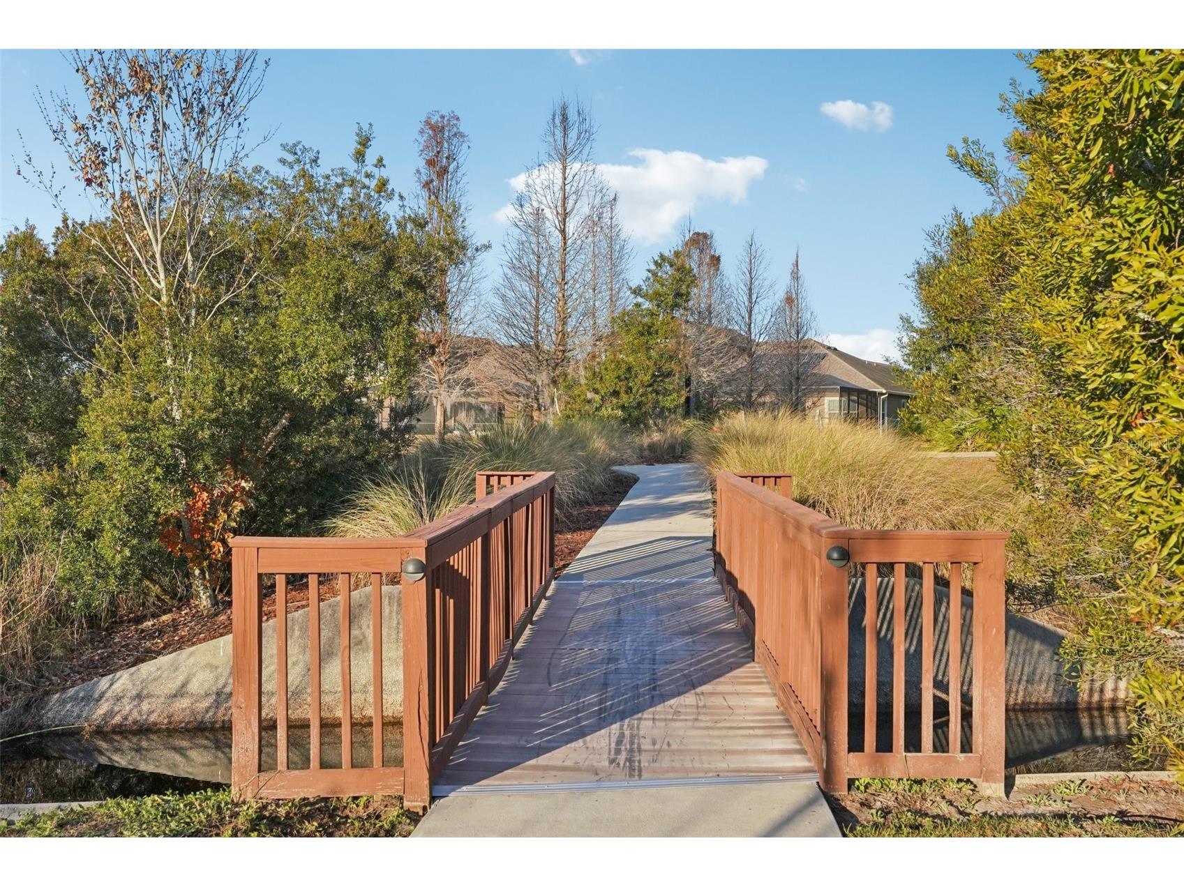 32451 Natural Bridge Road Wesley Chapel FL 33543 TB8467767 image39