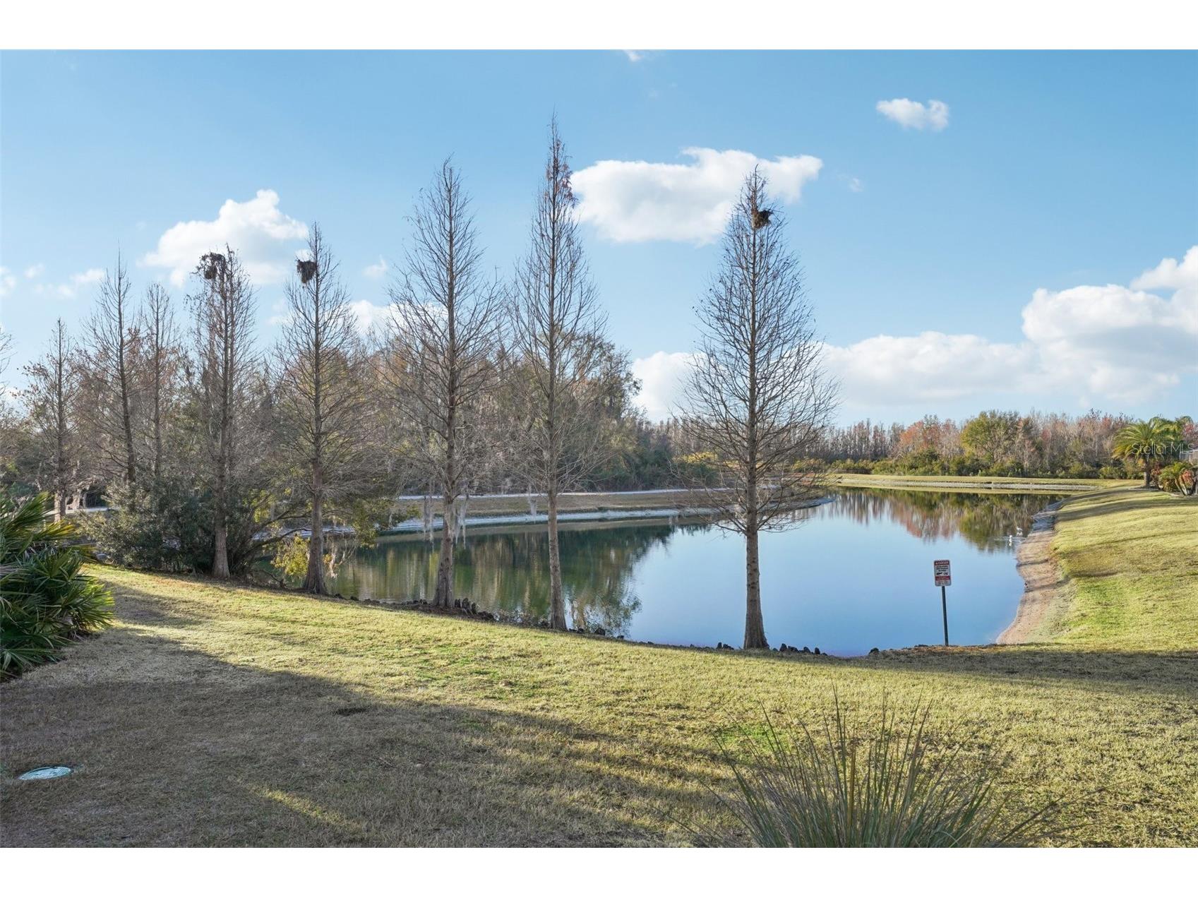 32451 Natural Bridge Road Wesley Chapel FL 33543 TB8467767 image46