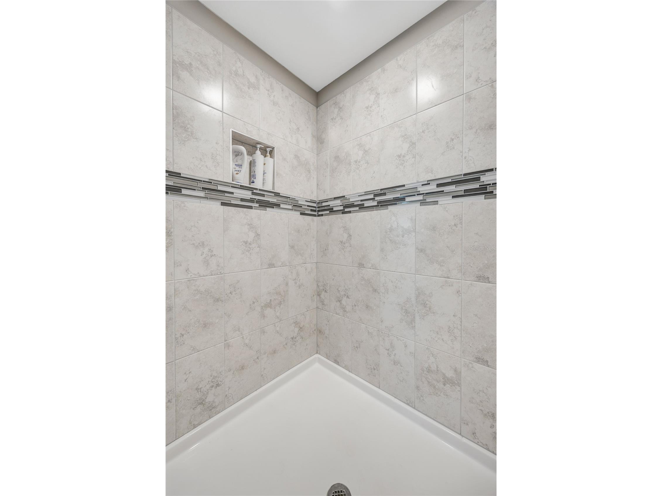 32455 Sapna Chime Drive Wesley Chapel FL 33545 TB8508690 image44
