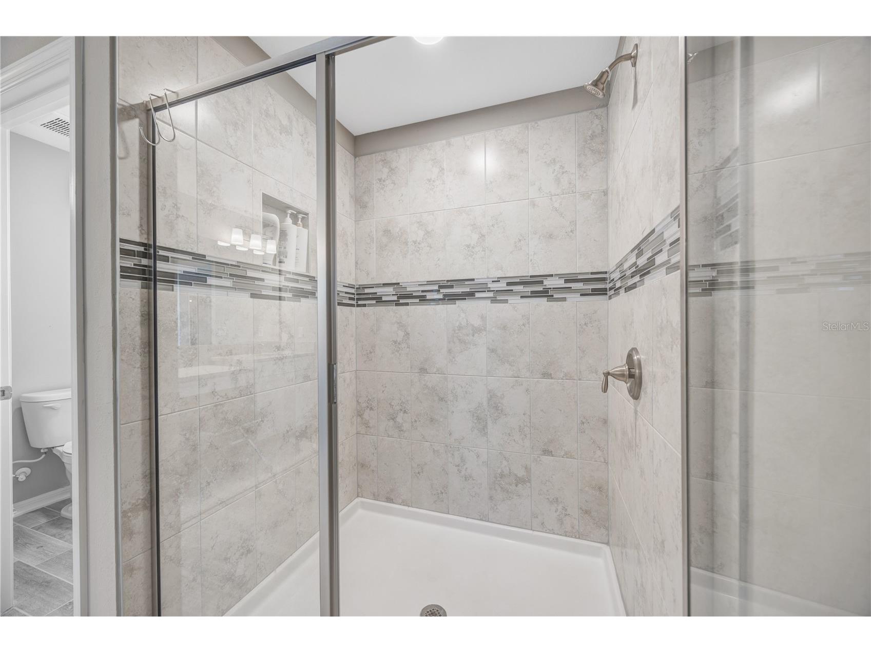 32455 Sapna Chime Drive Wesley Chapel FL 33545 TB8508690 image45