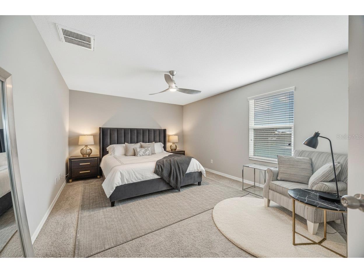 32455 Sapna Chime Drive Wesley Chapel FL 33545 TB8508690 image53