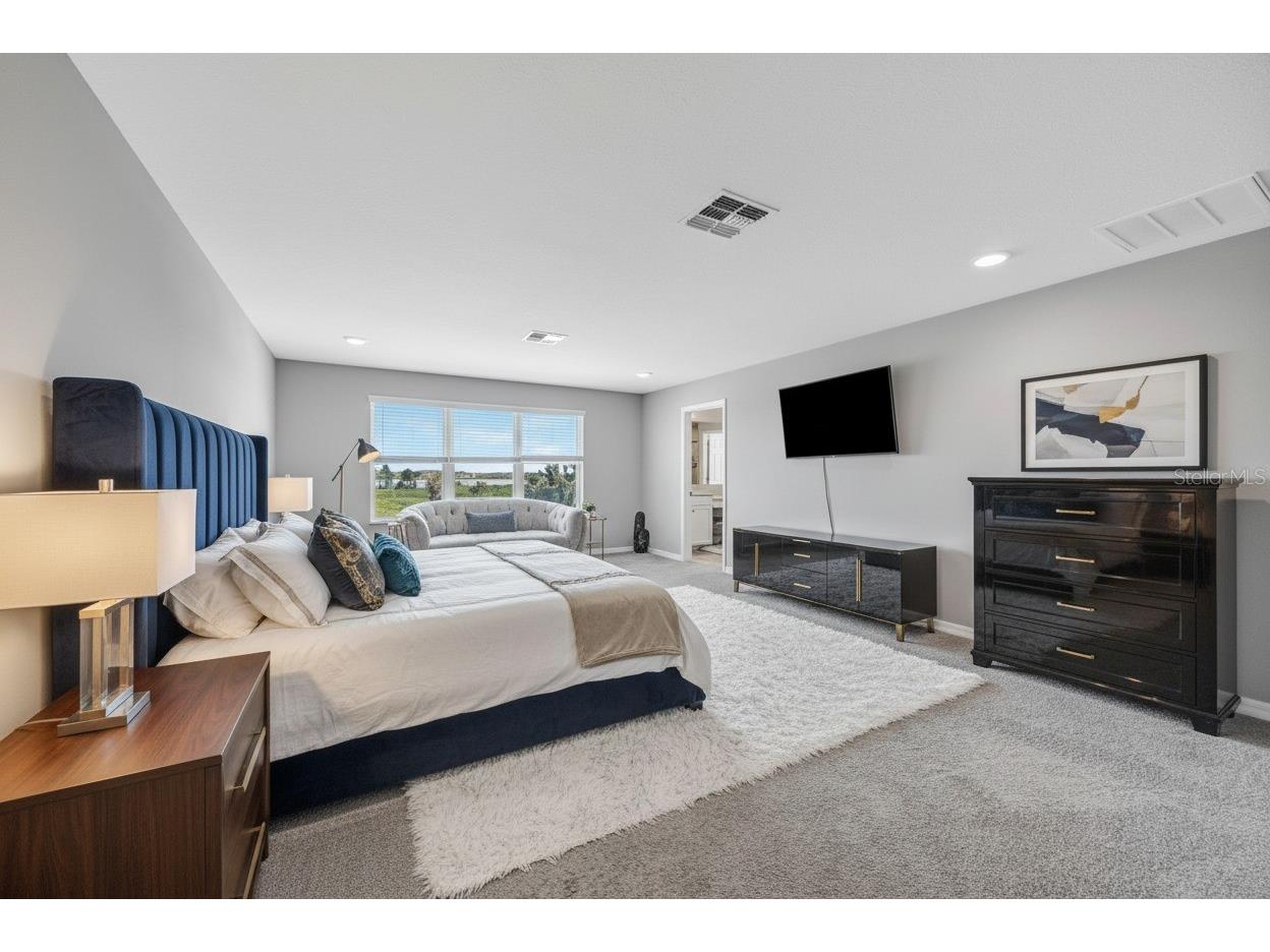 32455 Sapna Chime Drive Wesley Chapel FL 33545 TB8508690 image54