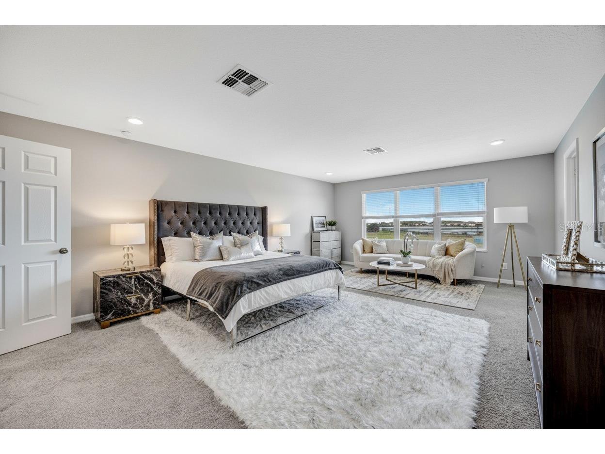 32455 Sapna Chime Drive Wesley Chapel FL 33545 TB8508690 image55