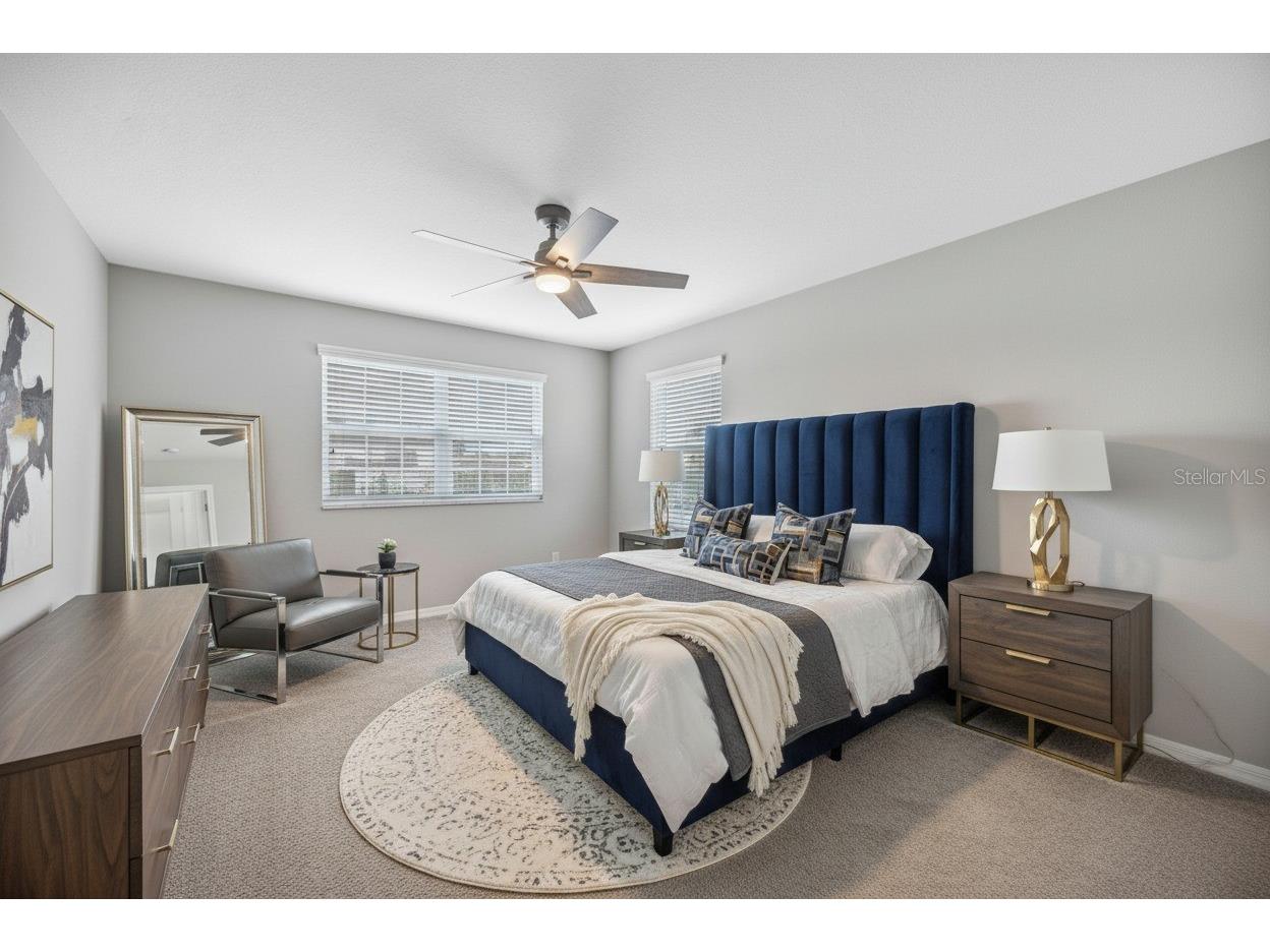 32455 Sapna Chime Drive Wesley Chapel FL 33545 TB8508690 image58