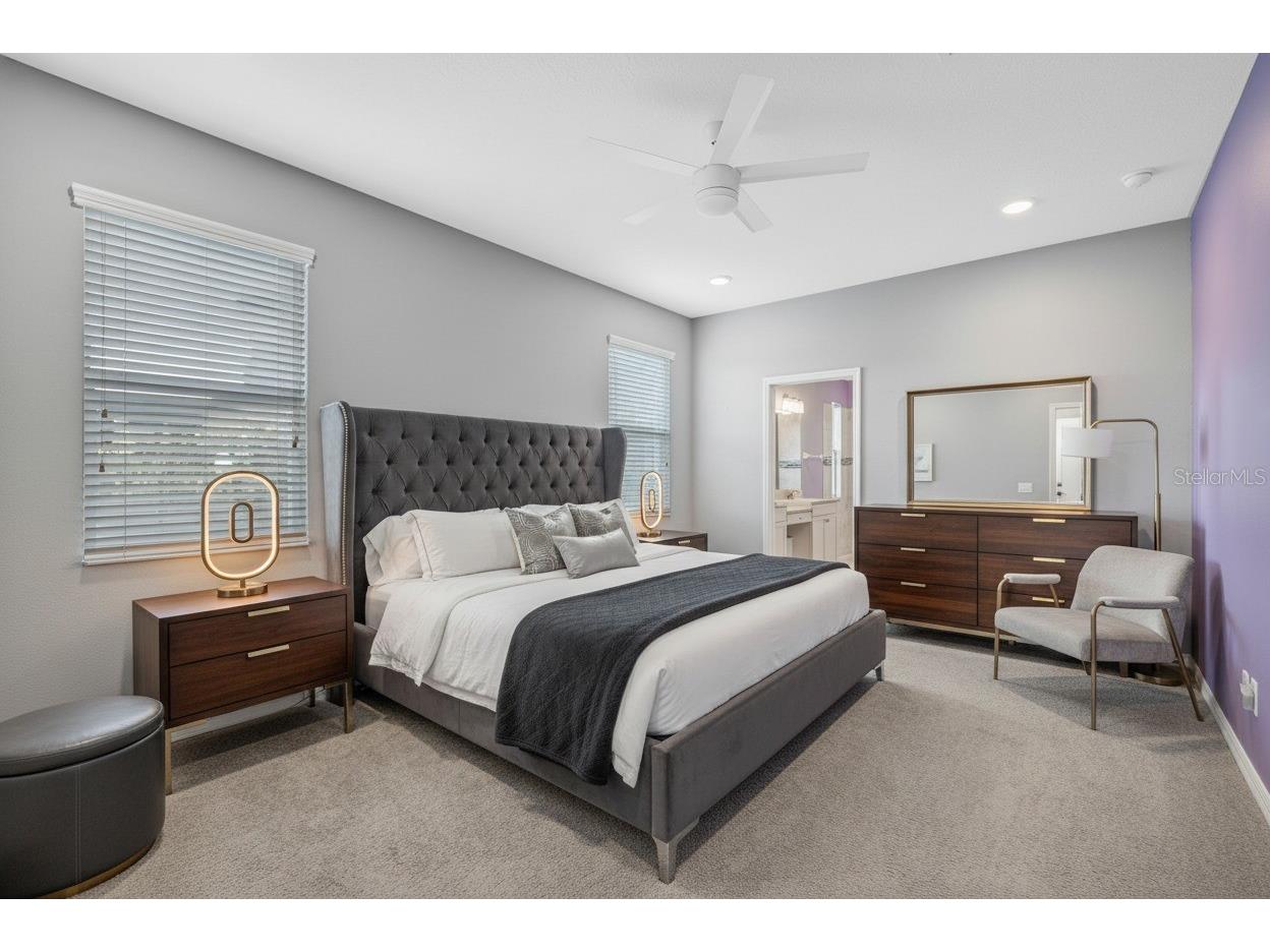 32455 Sapna Chime Drive Wesley Chapel FL 33545 TB8508690 image59